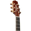 Đàn Guitar Takamine P7DC Pro Series Made In Japan