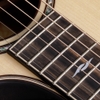 Đàn Guitar Taylor Builders Edition 814CE