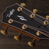 Đàn Guitar Taylor Builders Edition 814CE