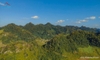 tour-moc-chau-2-ngay-1-dem-dac-biet-hang-tau-thac-nang-tien