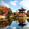 tour-han-quoc-7-ngay-6-dem-seoul-jeju-busan-nami-tu-ha-noi