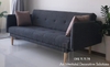 Sofa Giường Giá Rẻ 348T