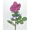Hoa hồng cao su 1 - Giá bán lẻ