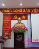 Hoa sen để trước tượng Bác - mẫu 3