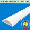 Nẹp bán nguyệt D20x10mm