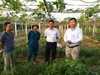 Nâng tầm giá trị Việt hợp tác với Công ty CP Rau an toàn Hà Nội triển khai khu quy hoạch rau sạch công nghệ cao tại Phúc Thọ, Hà Nội.