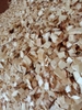 ACACIA WOOD CHIP - EUCALYPTUS WOOD CHIP