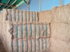 COCONUT FIBER - COIR FIBER