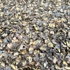 CASHEW NUT SHELL RESIDUE