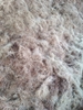 COCONUT FIBER - COIR FIBER