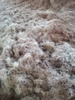 COCONUT FIBER - COIR FIBER