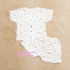 Bộ Cotton Cộc