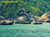 TOUR HẢI PHÒNG - ĐÀ NẴNG - BÁN ĐẢO SƠN TRÀ – CÙ LAO CHÀM – HỘI AN