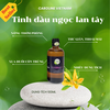 Tinh Dầu Ngọc Lan Tây Caroline - Ylang Ylang