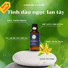 Tinh Dầu Ngọc Lan Tây Caroline - Ylang Ylang