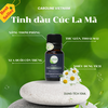 Tinh dầu Cúc La Mã Caroline - Chrysanthemum