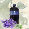 Tinh dầu Oải Hương Caroline 1000ml - Lavender