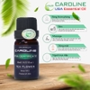 tinh dầu hoa trà Caroline
