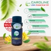 tinh dầu ngọc lan tây Caroline thơm bốc và được ưa chuộng
