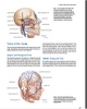 Sách anatomy for Plastic Surgery of the Face, Head and Neck