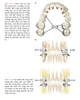 HƯỚNG DẪN THỰC HÀNH LÂM SÀNG CHỈNH NHA TĂNG TỐC