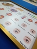 Tranh tráng gương nhãn khoa nội soi mắt và các bệnh lý của mắt(kích thước 50cm.75cm)