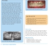 Sách các trường hợp lâm sàng trong Implant chỉnh nha  (Tiếng Việt)