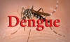 Khi nào nhập viện điều trị sốt xuất huyết Dengue