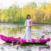 Gói chụp Hoa Súng Suối Yến - Chùa Hương