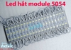 LED MODULE 3 BÓNG 5054 TRẮNG