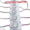 LED MODULE 1 BÓNG 1.5W MÀU XANH LÁ