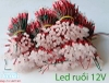 LED RUỒI 12V MÀU XANH LÁ