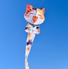 DIỀU MÈO 4.9M