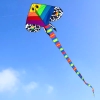 DIỀU COLOR FISH 2.25M