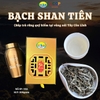 BẠCH SHAN TIÊN - TRÀ RỪNG HOANG DÃ DÃY TÂY CÔN LĨNH (Hộp 200g cao cấp)