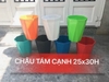 Chậu Kim Cương 8 cạnh 25x30H (cm)