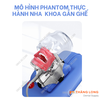 dau-phantom-thuc-hanh-nha-khoa-gan-ghe
