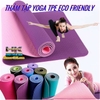 THẢM TẬP YOGA ECO FRIENDLY TPE 8MM ĐỊNH TUYẾN