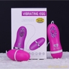 trung-rung-tinh-yeu-vibrating-egg-giao-hang-sau-7-ngay