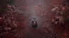 Silent Hill f