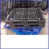 PALLET NHỰA BÌNH TÂN