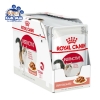 pate cho mèo royal canin