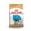 Thức ăn cho chó Royal Canin Pug junior