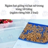 Set hạt giống cỏ trồng và hạt nở giữ ẩm