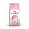 Thức ăn cho mèo con Royal Canin Kitten