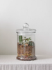 ANhome - Terrarium trụ kín