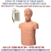 MÔ HÌNH ĐÀO TẠO CPR BÁN THÂN GD/CPR169+