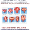 MÔ HÌNH GIẢI PHẪU PHÔI THAI PHÁT TRIỂN GD/A42005