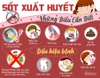 BẠN BIẾT GÌ VỀ SỰ NGUY HIỂM CỦA BỆNH SỐT XUẤT HUYẾT DENGUE