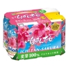 Bia Hoa Anh Đào Orion Ichiban Sakura 350g - 24 Lon